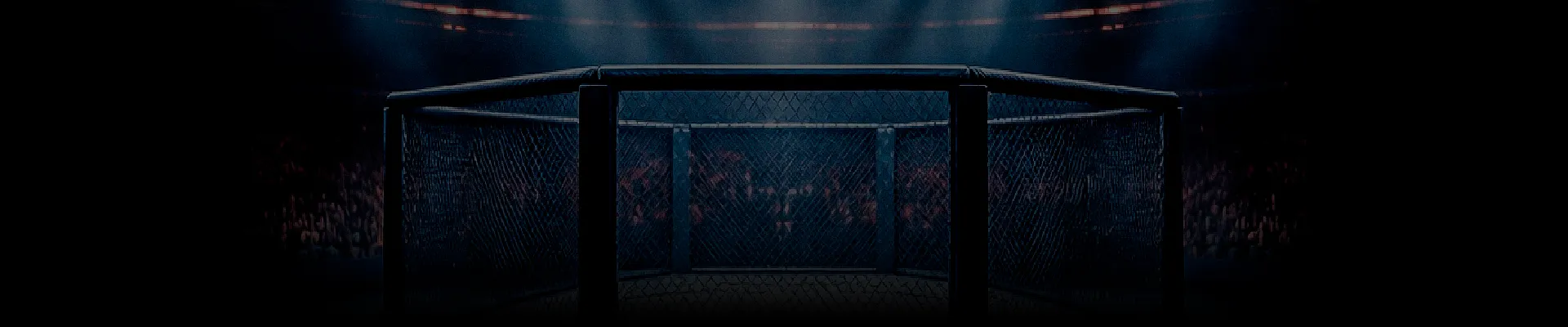Fight Background